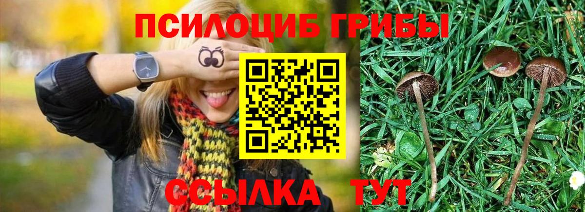 Сибай  Галлюциногенные грибы ЛСД  Псилоцибиновые грибы Magic Shrooms  Вход с VPN 